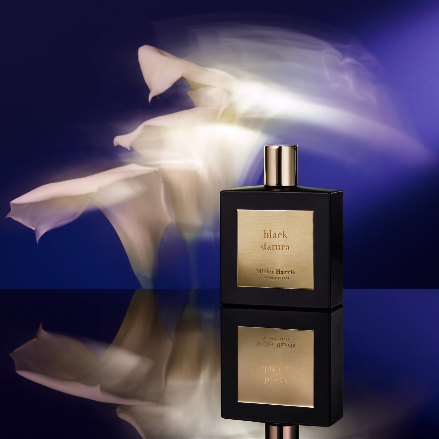 Black Datura