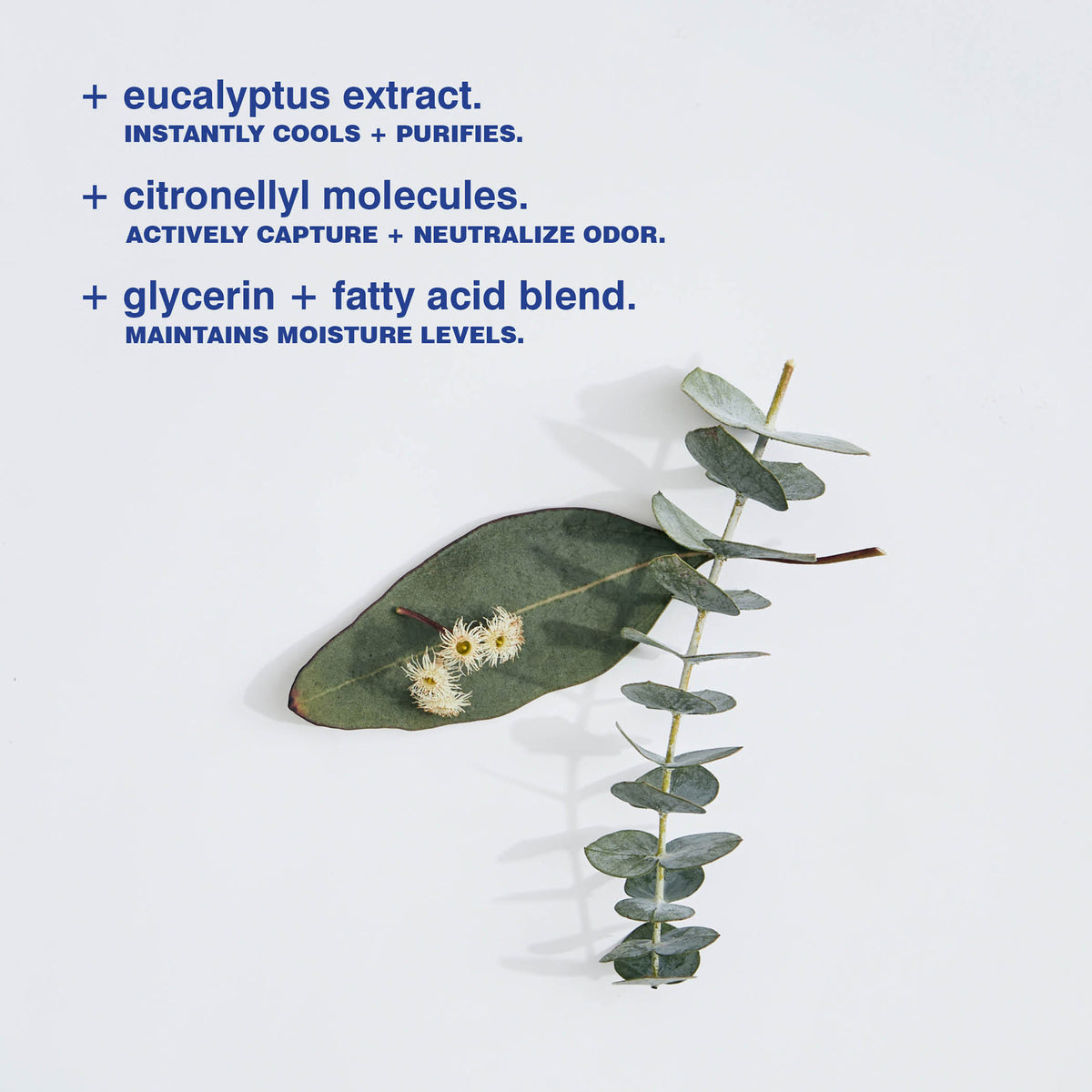 Eucalyptus Deodorant / 28 g