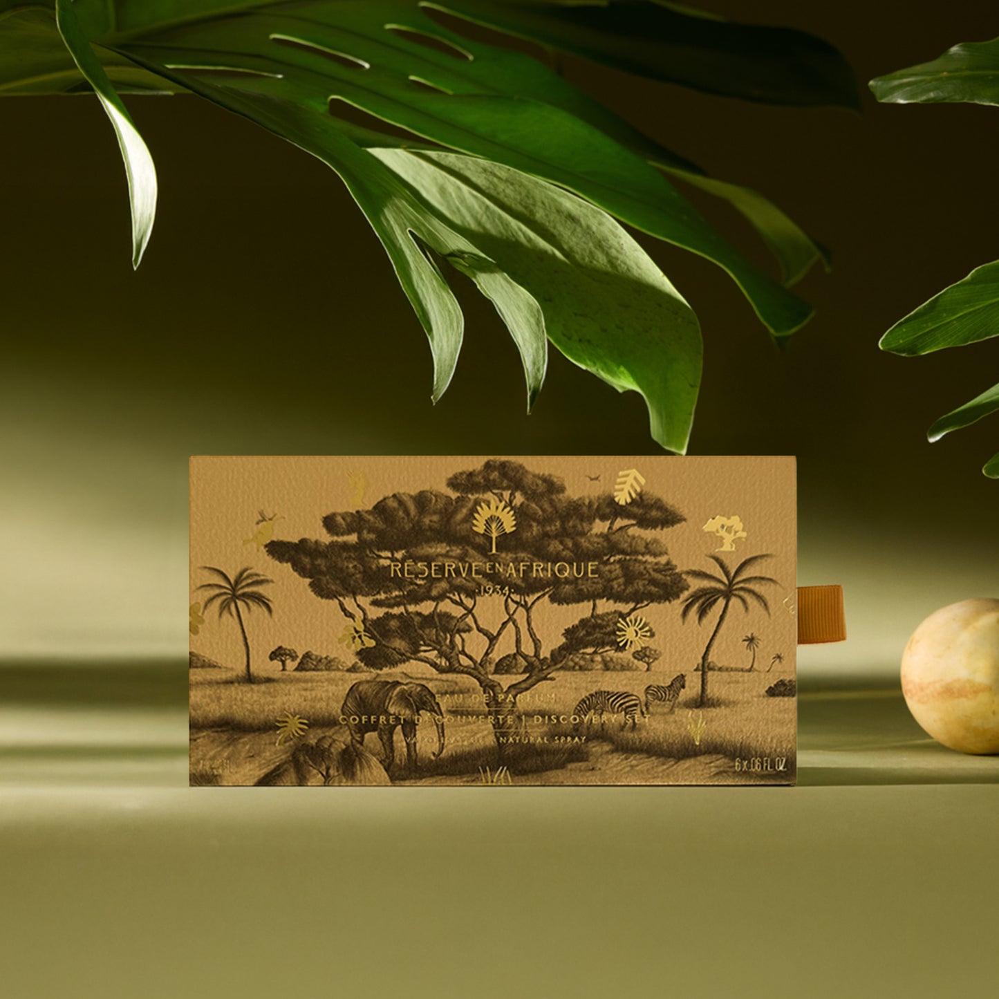 Discovery Set