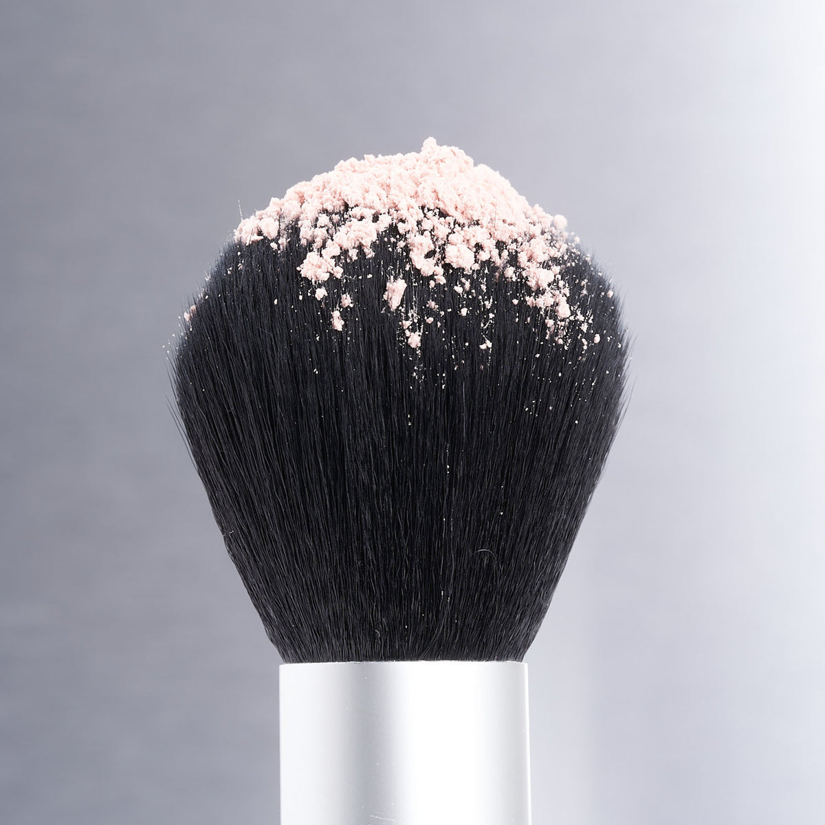 POWDER BRUSH 01