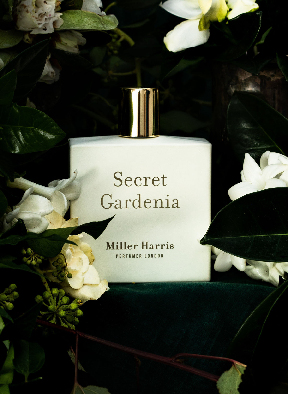 Secret Gardenia / 50 ml