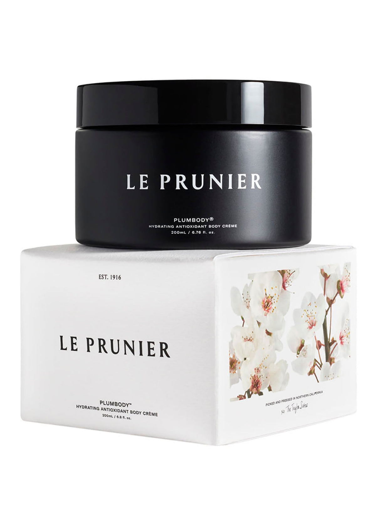 Plumbody / 200 ml