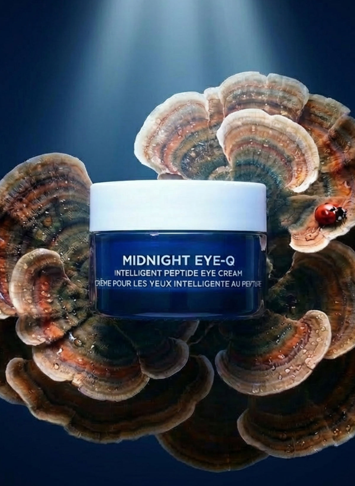 Midnight Eye-Q – Intelligent Peptide Eye Cream