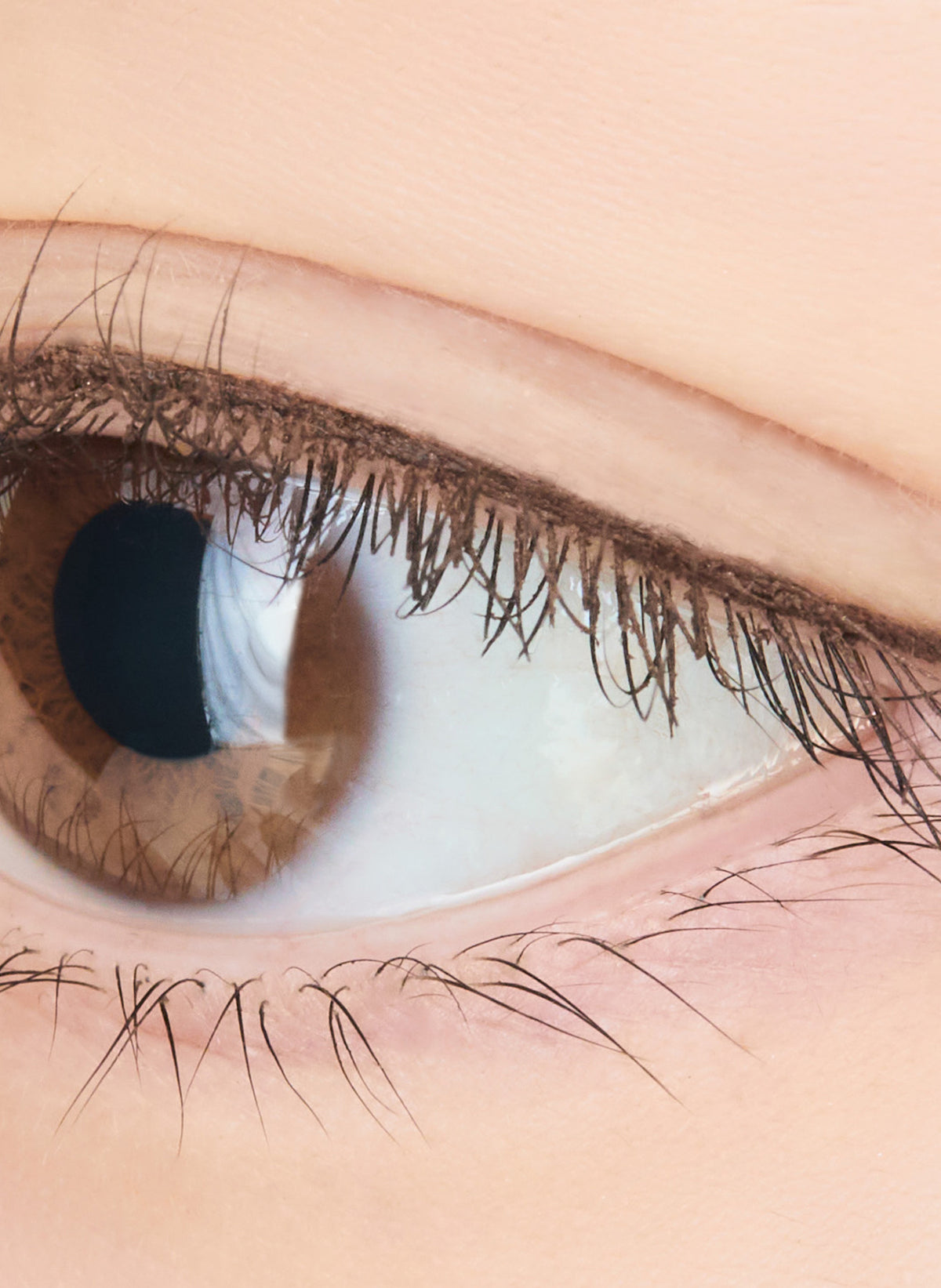 Pencil Eyeliner SlimOval / Medium Brown