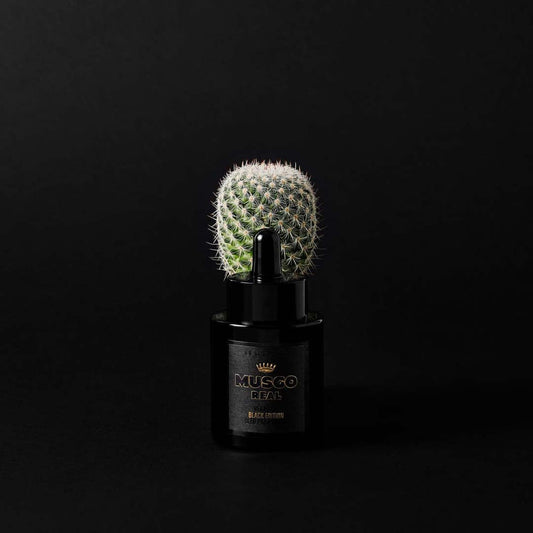 Musgo Real Beard Oil Black Edition