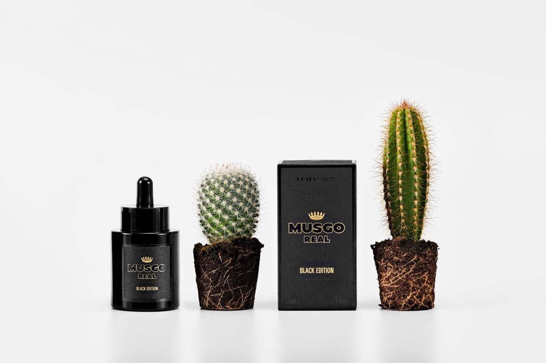 Musgo Real Beard Oil Black Edition