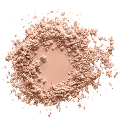 Loose Powder / 14 Translucide