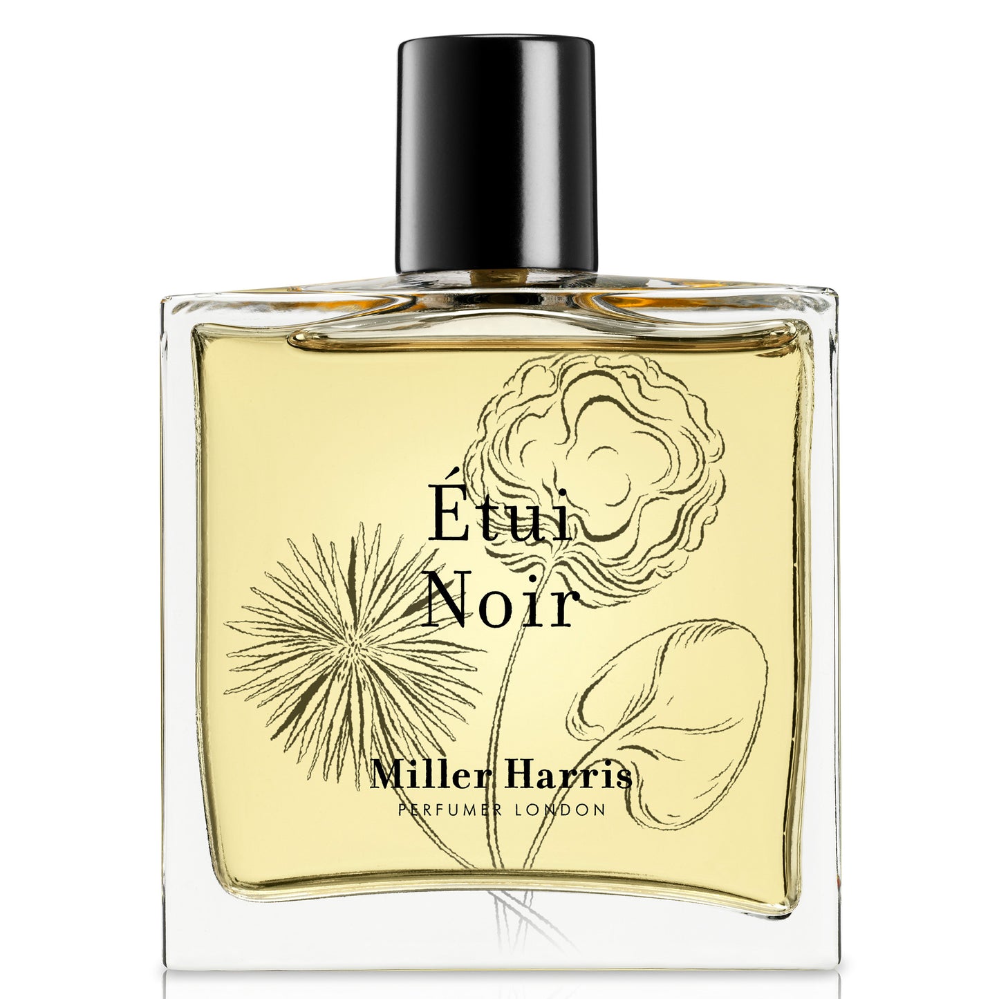 Ètui Noir / 100 ml