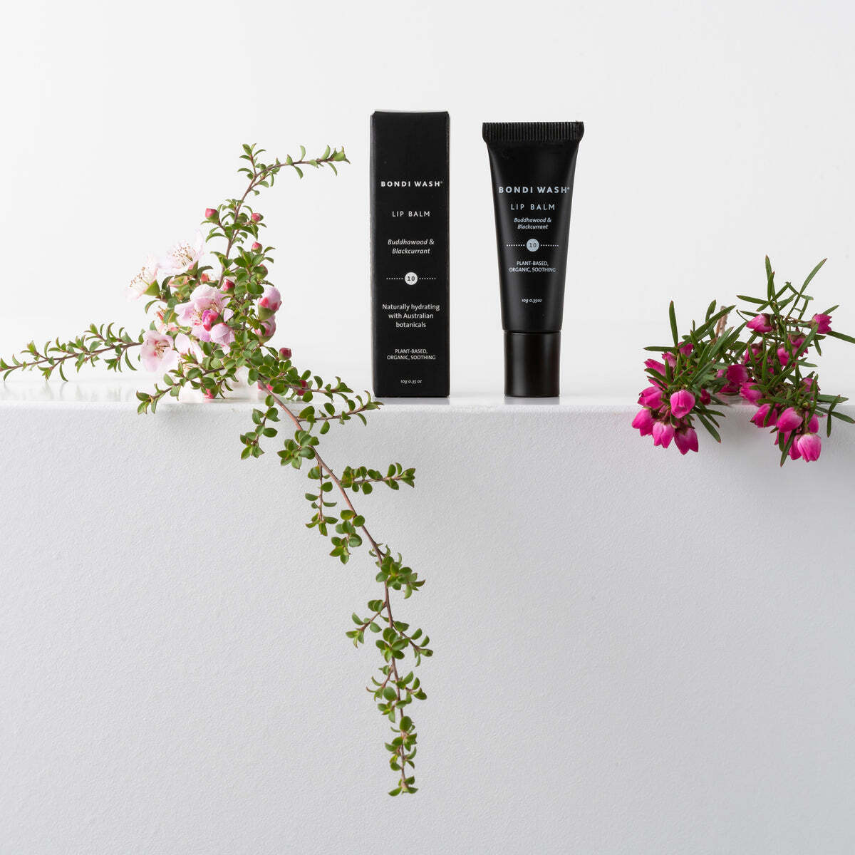 Lip Balm Buddhawood & Blackcurrant