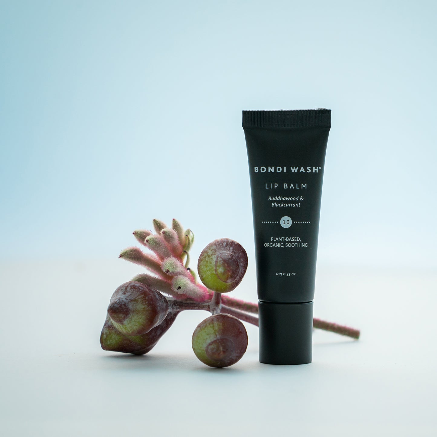 Lip Balm Buddhawood & Blackcurrant