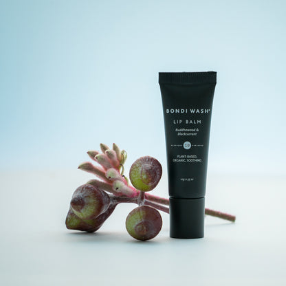 Lip Balm Buddhawood & Blackcurrant