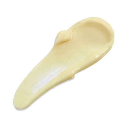 Icon Night Smartsome