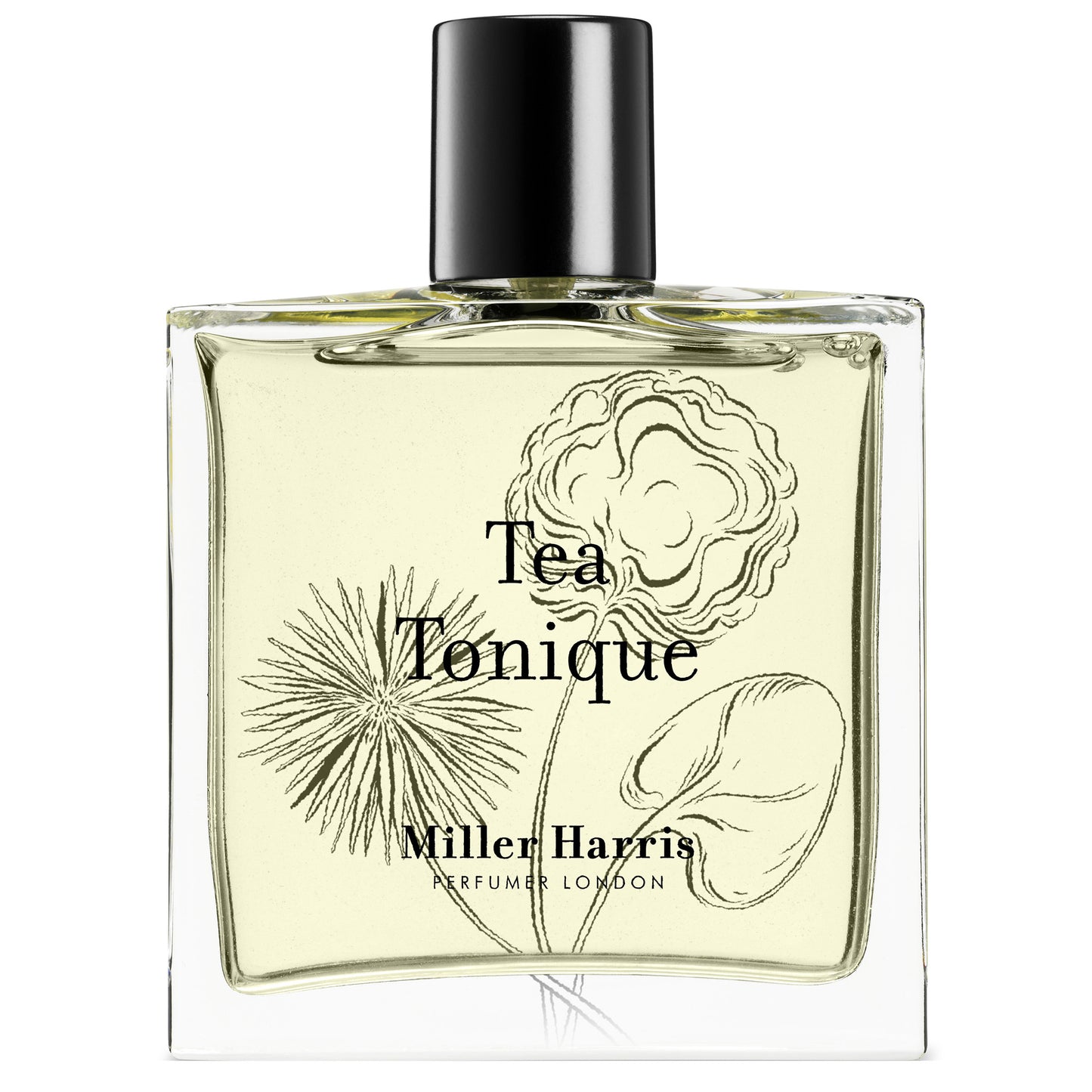 Tea Tonique / 100 ml