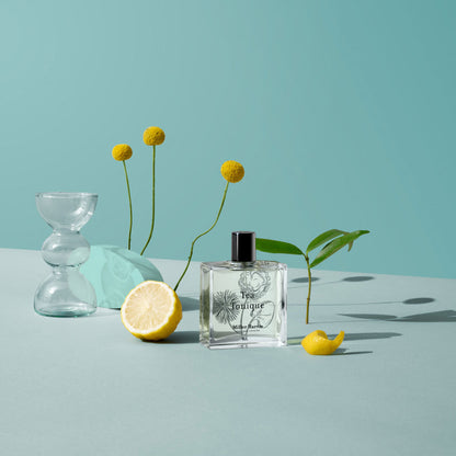 Tea Tonique / 100 ml