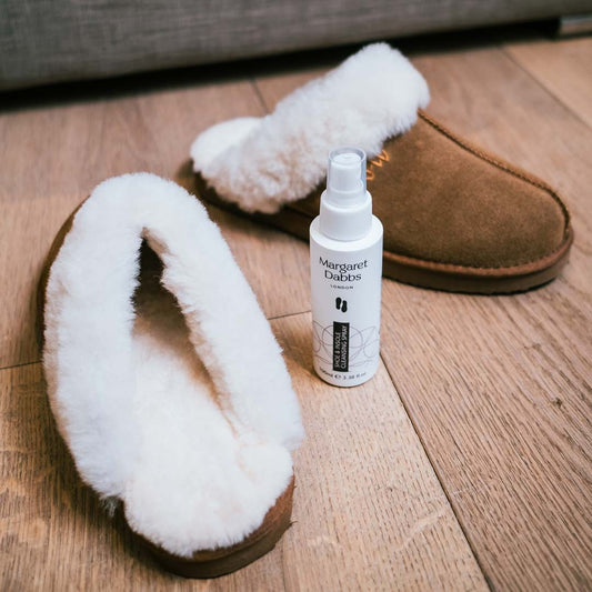 Shoe & Insole Cleansing Spray