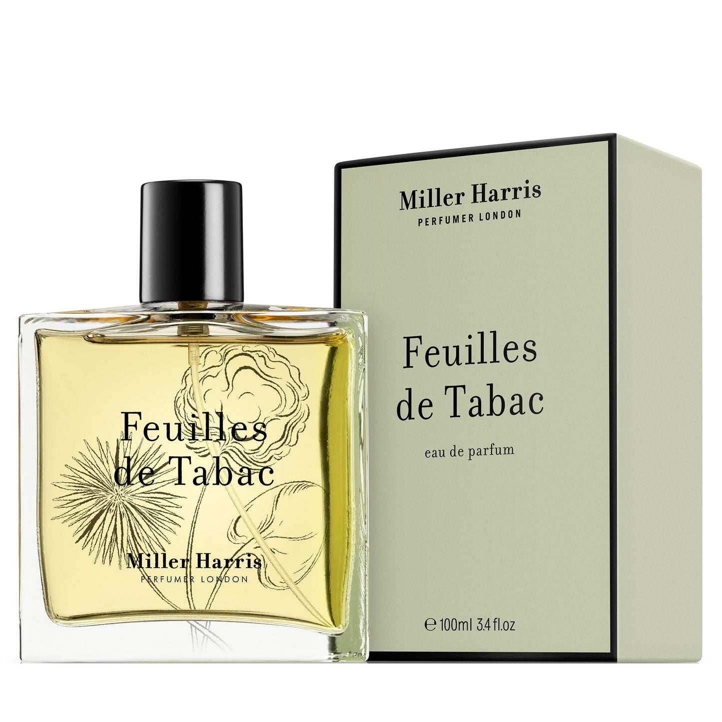 Feuilles De Tabac / 100 ml