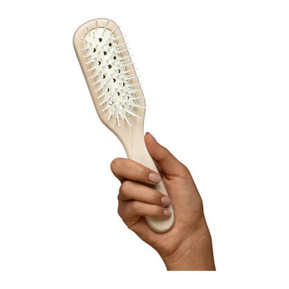 Vented Grooming Hairbrush