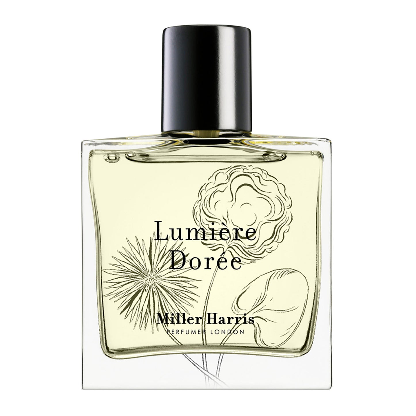 Lumière Dorée EdP / 50 ml