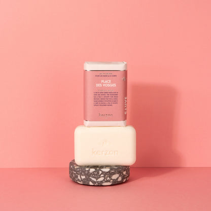 Place des Vosges / Place des Vosges