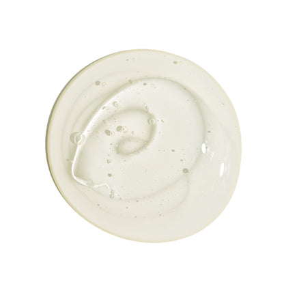 Peppermint Shampoo / 473 ml