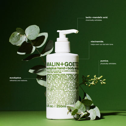 Eucalyptus Hand+ Body Scrub