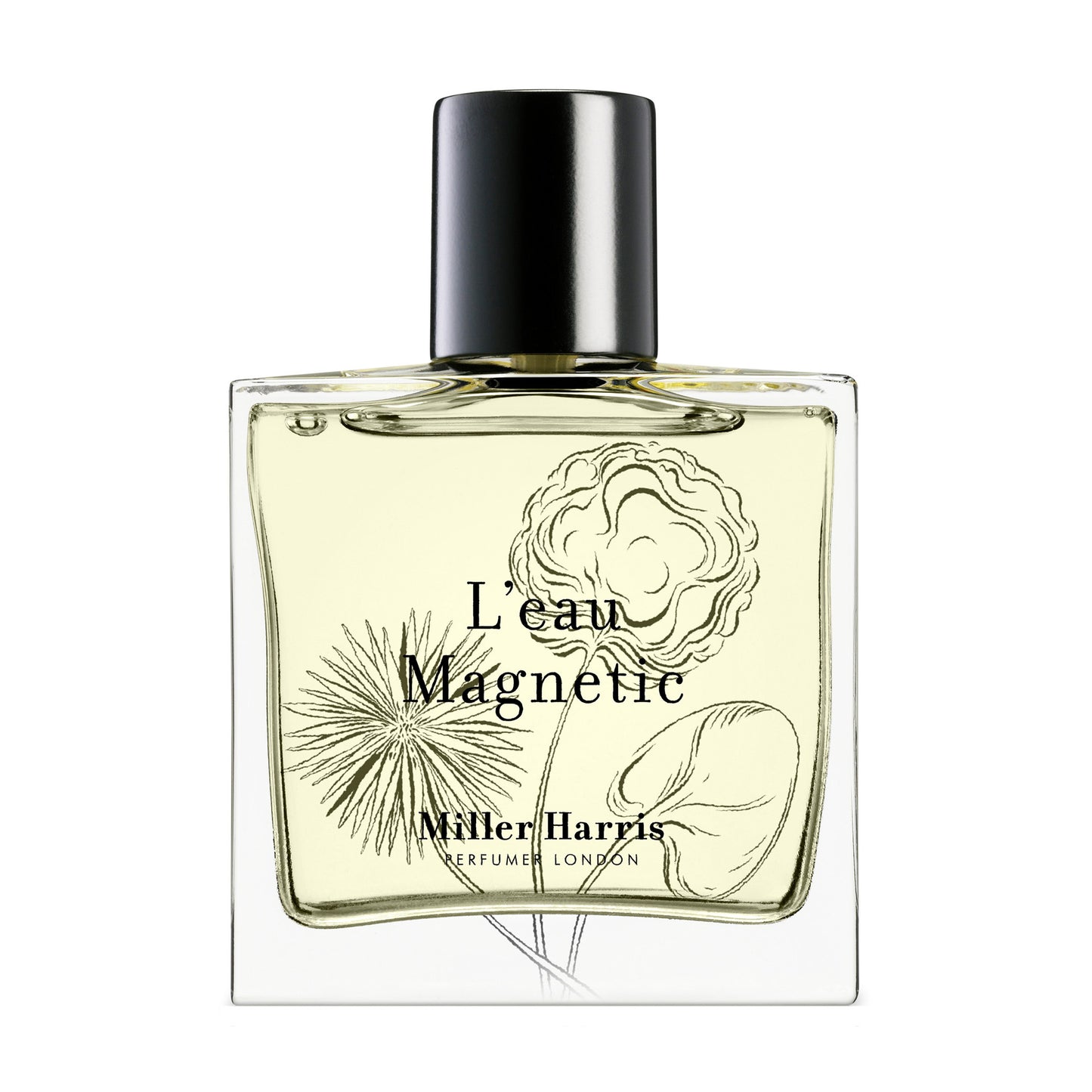 L'Eau Magnetic / 100 ml