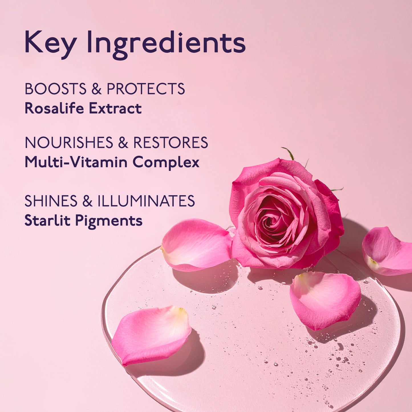 Baume de Rose Lip Oil Serum / N2 - Dazzling Rose