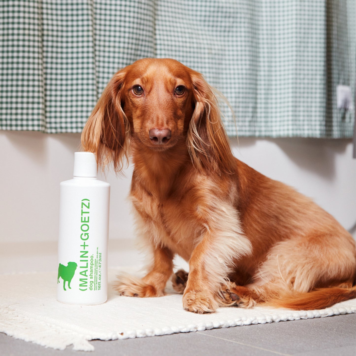Malin+Goetz Dog Shampoo Ansicht 4