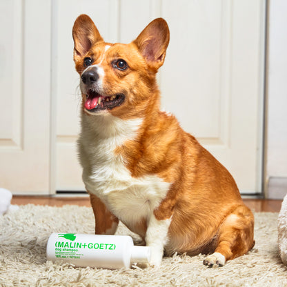 Malin+Goetz Dog Shampoo Ansicht 6
