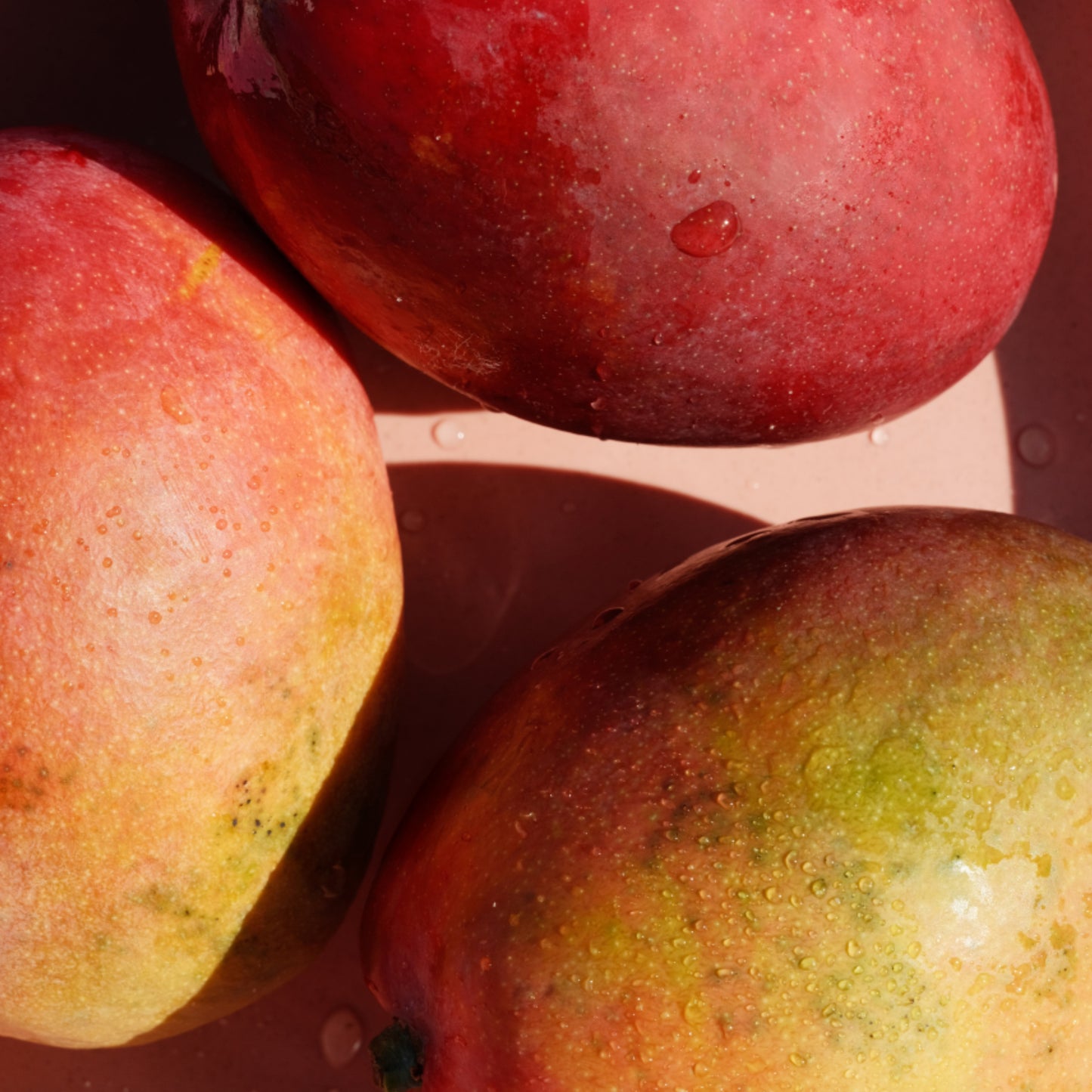 Classic Body SPF 50 Guava Mango