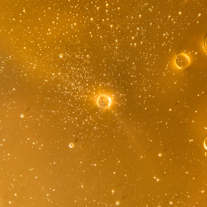 The Revival Shampoo Hydro-Luminous with Horsetail and Moringa / 100 ml