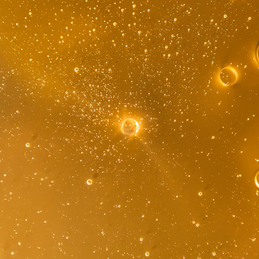 The Revival Shampoo Hydro-Luminous with Horsetail and Moringa / 100 ml