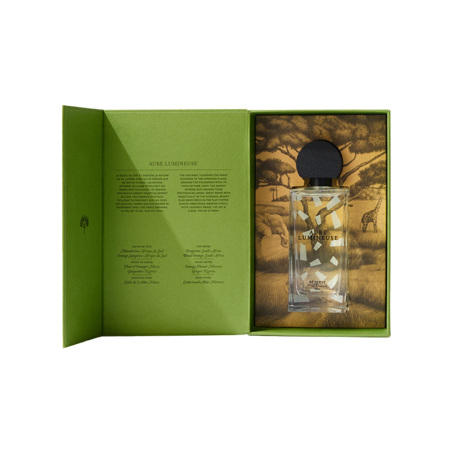 Aube Lumineuse / 100 ml