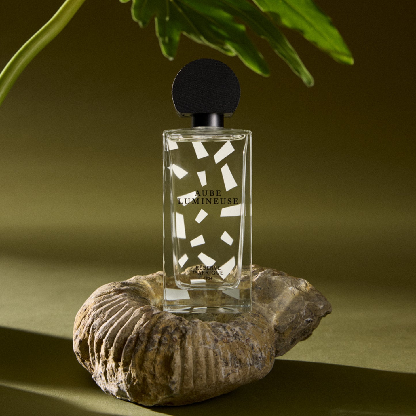 Aube Lumineuse / 100 ml