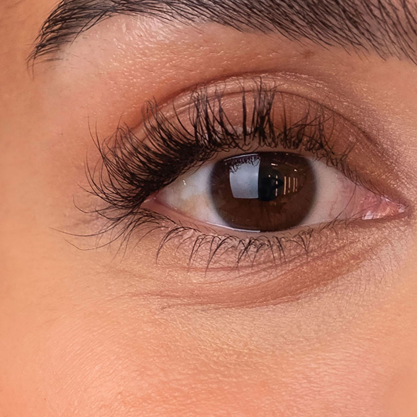 The Brow Serum