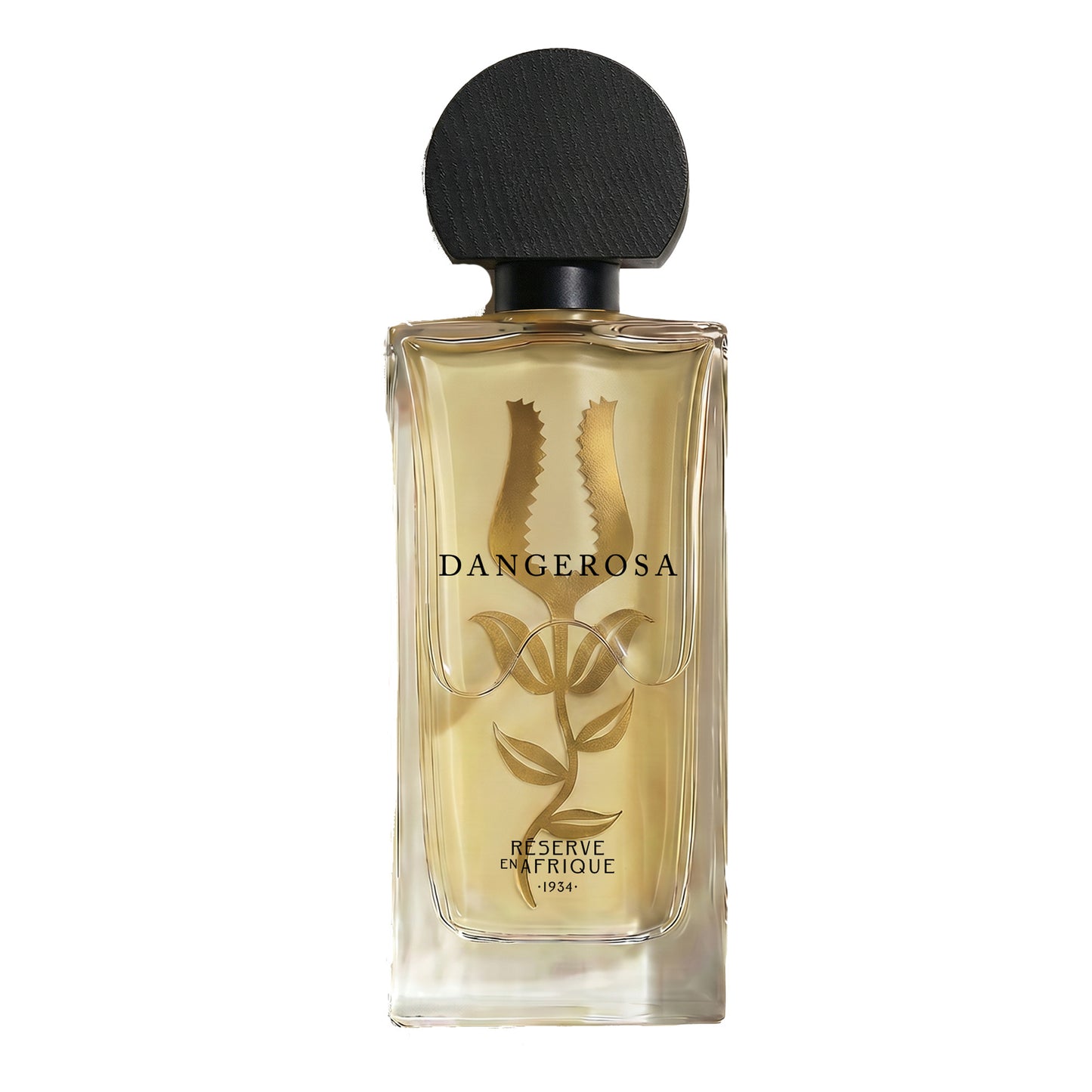 Dangerosa