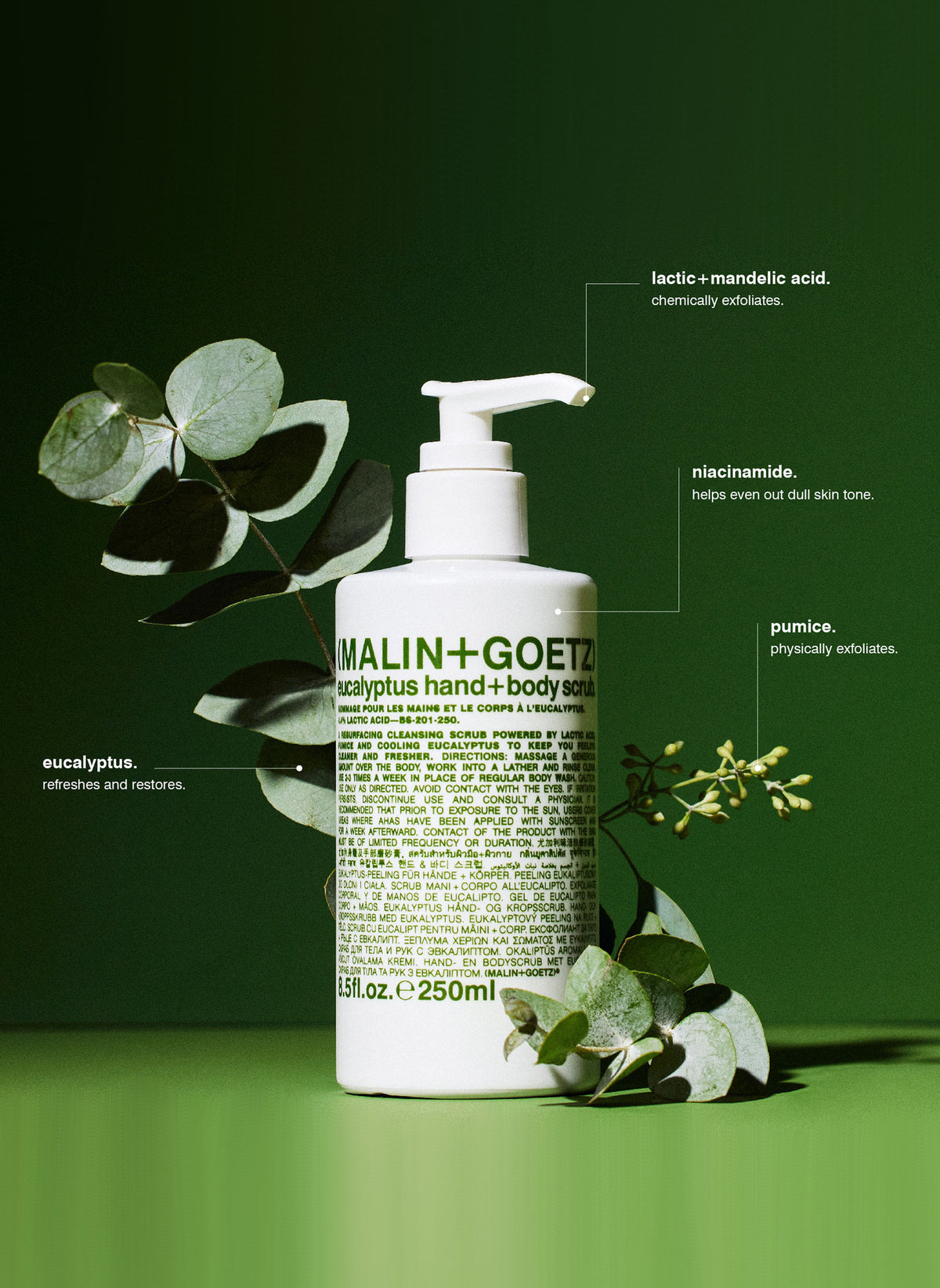 Eucalyptus Hand and Body Scrub