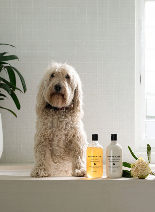 Dog Wash Paperbark & Lemongrass / 500 ml