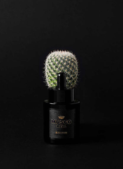 Musgo Real Beard Oil Black Edition
