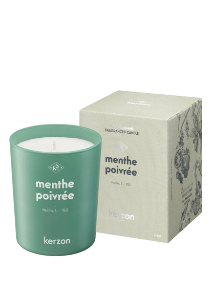 Fragranced Candle - Menthe Poivrée