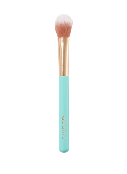 05 Highlighter Brush