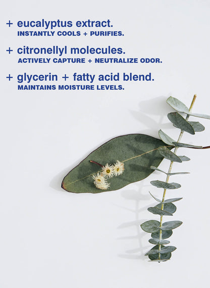 Eucalyptus Deodorant / 73 g