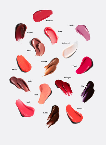 The Plasma Lip Compound / Fortune
