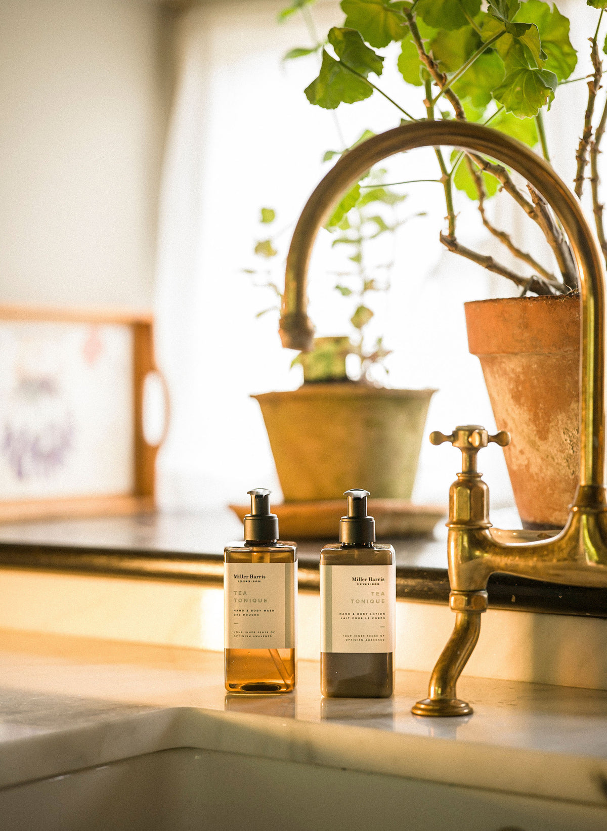 Tea Tonique Hand & Body Wash