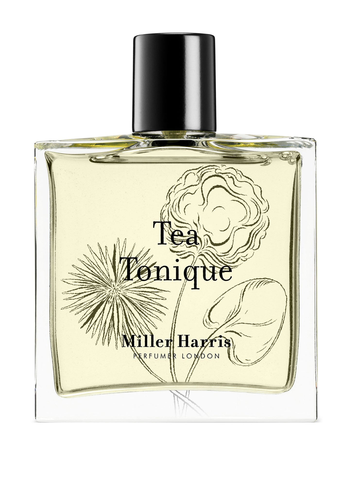 Tea Tonique / 100 ml
