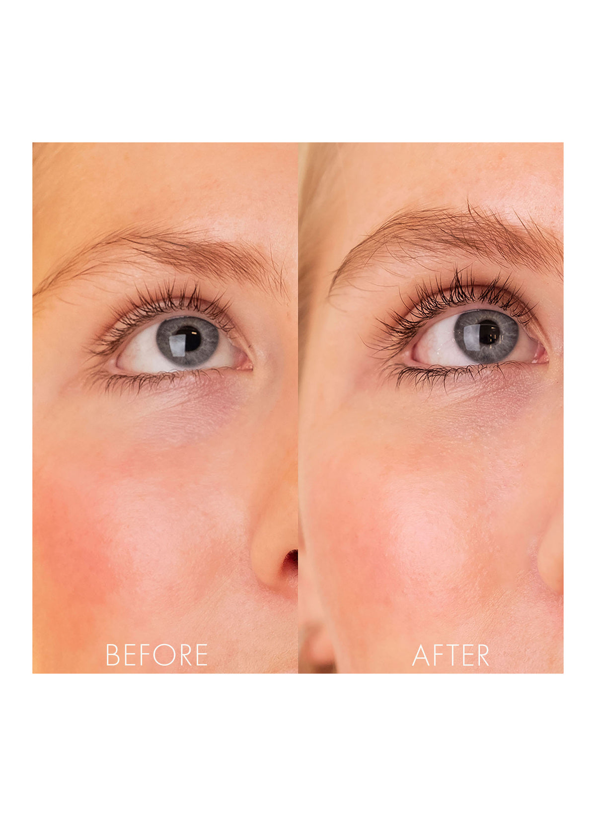 The Brow Serum
