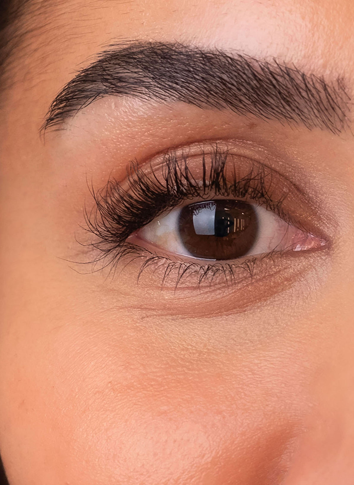 The Brow Serum