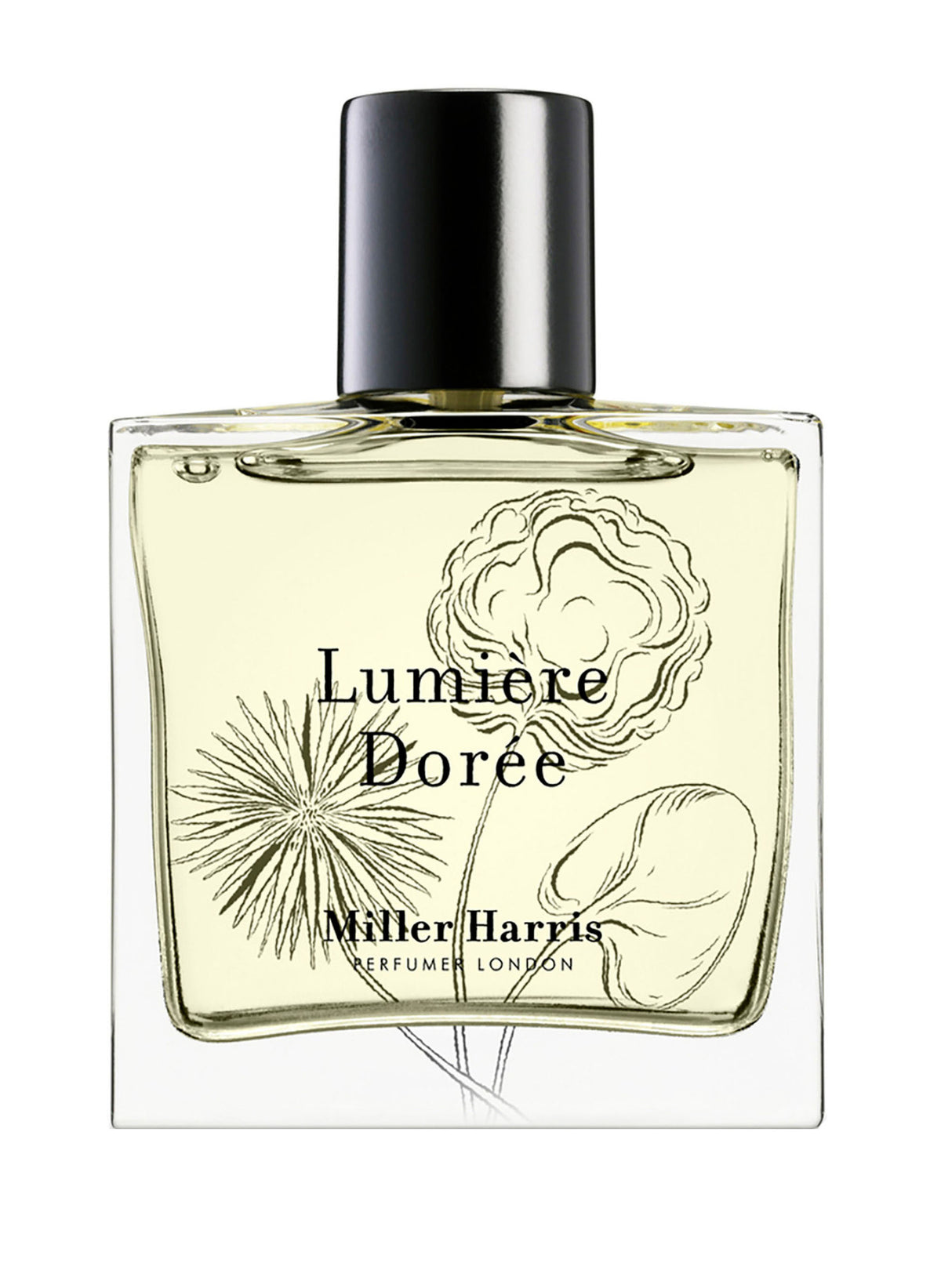 Lumière Dorée / 50 ml