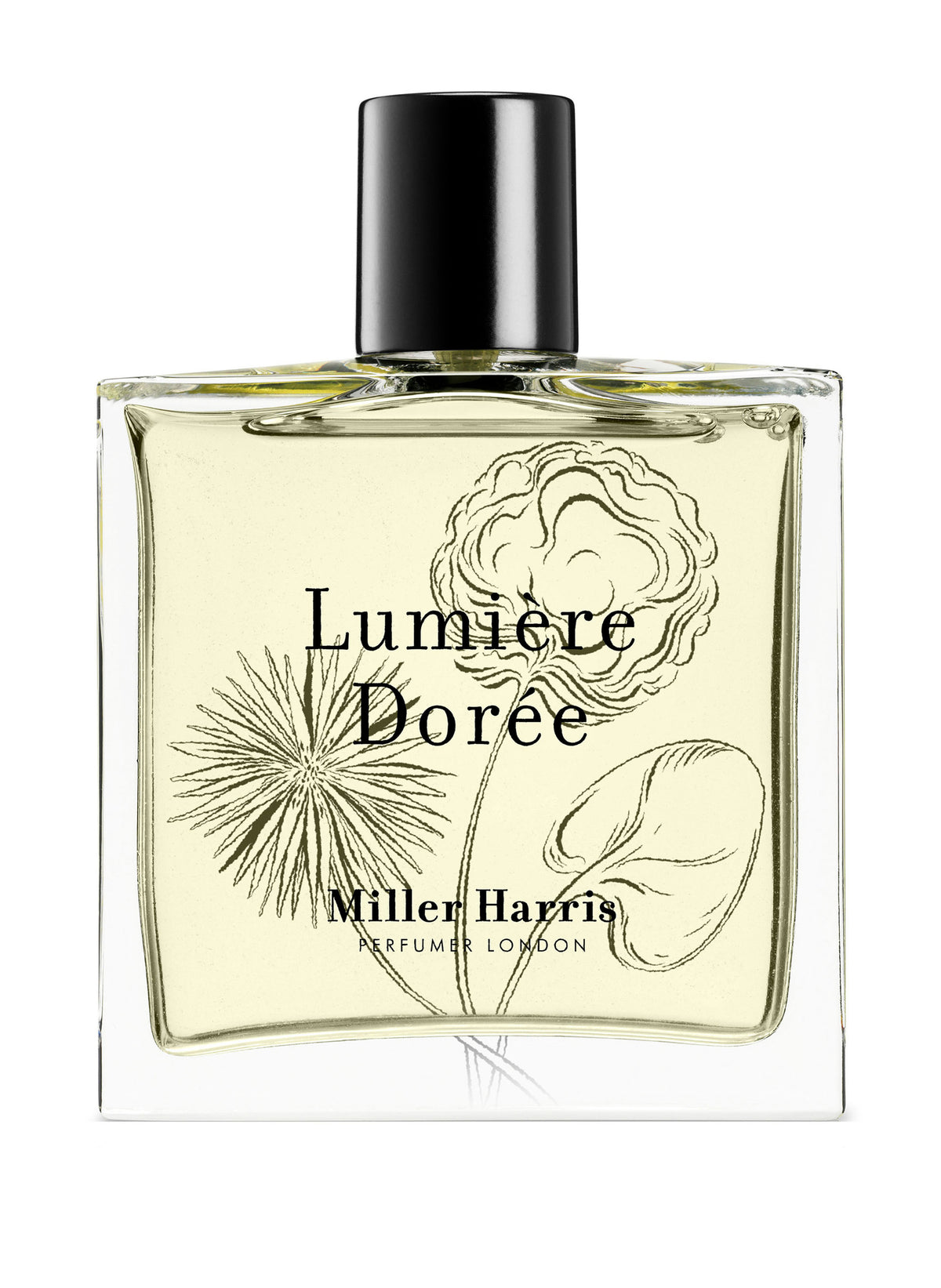 Golden Light / 100 ml
