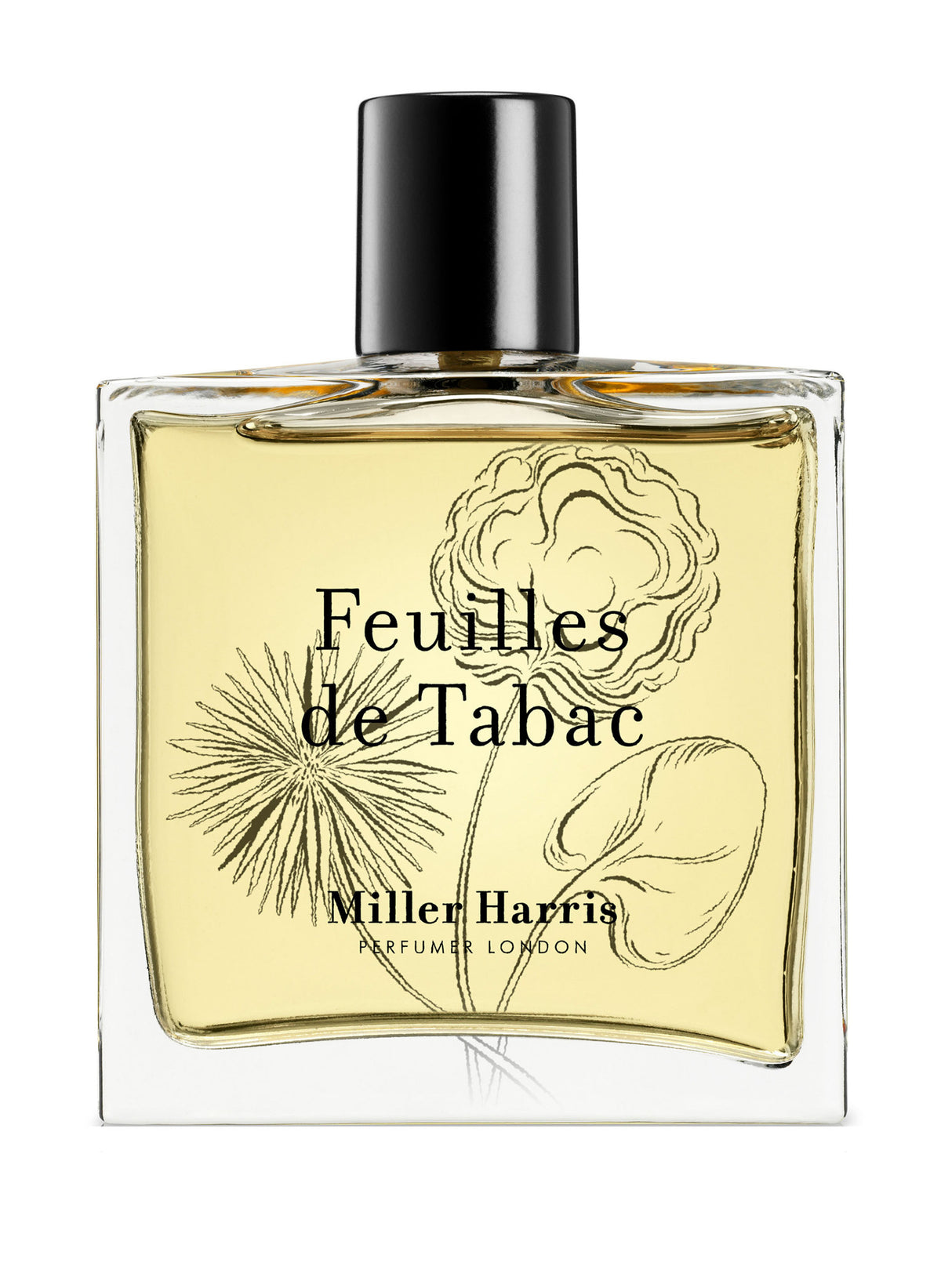 Feuilles De Tabac